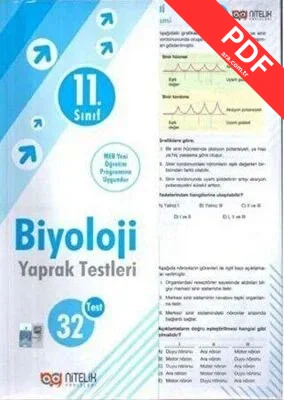 11. Sınıf Biyoloji Yaprak Testleri