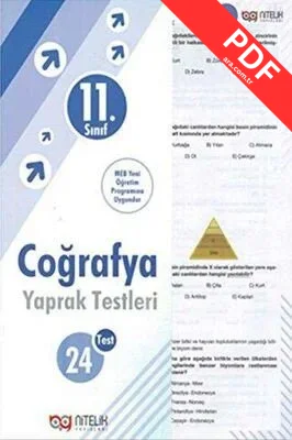 11. Sınıf Coğrafya Yaprak Testleri