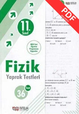 11. Sınıf Fizik Yaprak Testleri