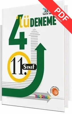 11.Sınıf Pro Deneme 4'lü PDF indir