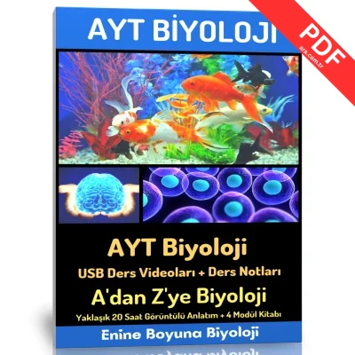 2024 AYT Biyoloji Modüler Kitap Seti
