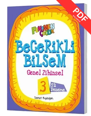 3.Sınıf Becerikli Bilsem Görsel Zihinsel 5 Deneme PDF indir
