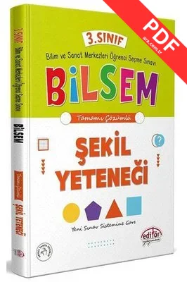 3.Sınıf BİLSEM Hazırlık Şekil Yeteneği