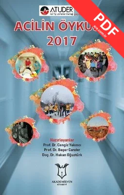 Acilin Öyküsü 2017