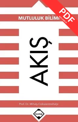 Akış-Mutluluk Bilimi PDF indir