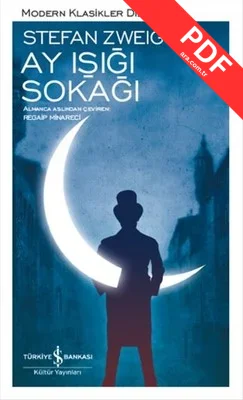 Ay Işığı Sokağı PDF indir