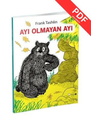 Ayı Olmayan Ayı