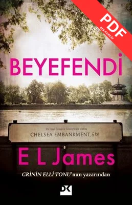 Beyefendi