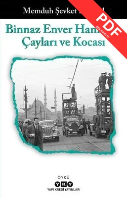 Binnaz Enver Hanım'ın Çayları ve Kocası PDF indir