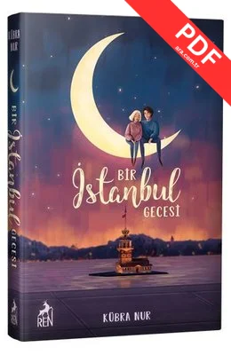 Bir İstanbul Gecesi PDF indir
