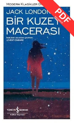 Bir Kuzey Macerası