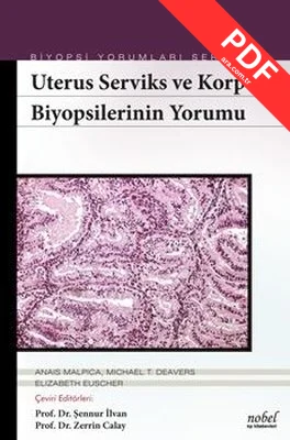 Biyopsilerin Yorumu: Uterus Serviks ve Korpus