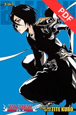 Bleach (3-in-1 Edition) Vol. 18 (Bleach (3-in-1 Edition))