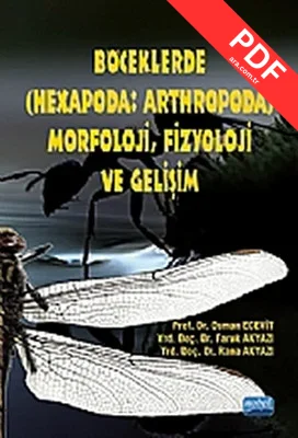 Böceklerde MorfolojiFizyoloji ve Gelişim