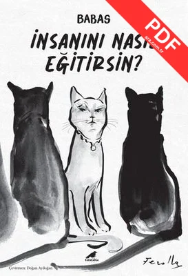 İnsanını Nasıl Eğitirsin?