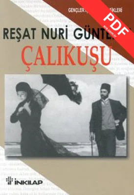 Çalıkuşu - Gençler İçin Türk Klasikleri