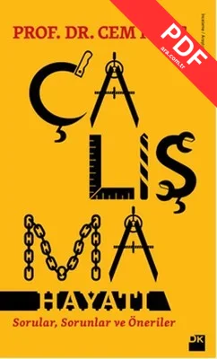 Çalışma Hayatı