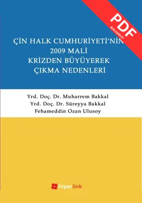 Çin Halk Cumhuriyeti'nin 2009 Mali Krizden Büyüyerek Çıkma Nedenleri