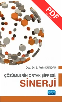 Çözümlerin Ortak Şifresi - Sinerji