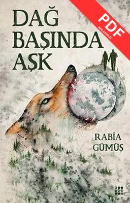 Dağ Başında Aşk