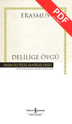 Deliliğe Övgü