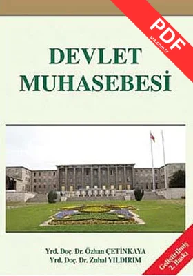 Devlet Muhasebesi