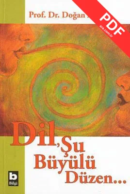 DilŞu Büyülü Düzen