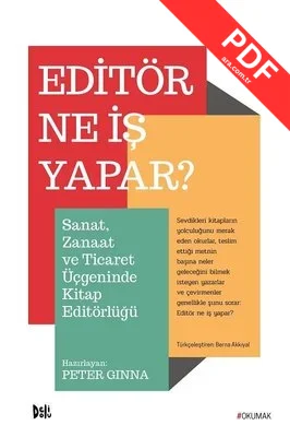 Editör Ne İş Yapar?