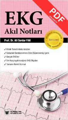 EKG - Akıl Notları