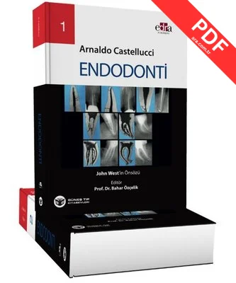 Endodonti 2 Cilt Takım