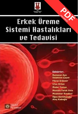 Erkek Üreme Sistemi Hastalıkları ve Tedavisi