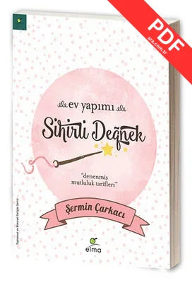 Ev Yapımı Sihirli Değnek PDF indir