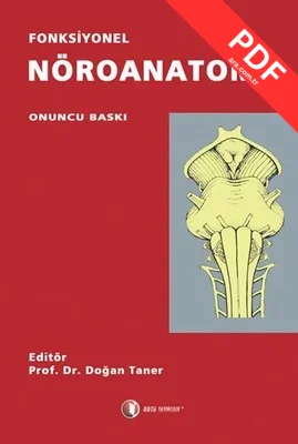 Fonksiyonel Nöroanatomi