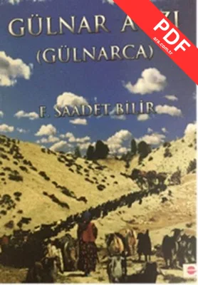Gülnar Ağzı