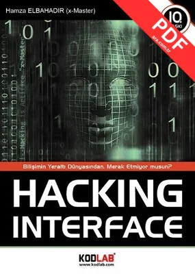 Hacking Interface PDF indir