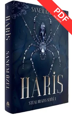 Haris - Steal or Kiss Serisi 1 PDF indir