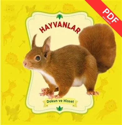 Hayvanlar - Dokun ve Hisset