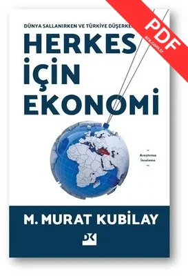 Herkes İçin Ekonomi - Dünya Sallanırken ve Türkiye Düşerken