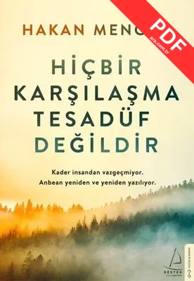 Hiçbir Karşılaşma Tesadüf Değildir PDF indir