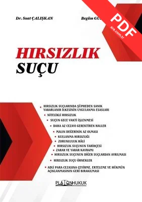 Hırsızlık Suçu PDF indir