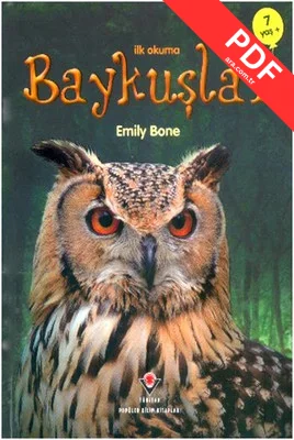 İlk Okuma - Baykuşlar PDF indir