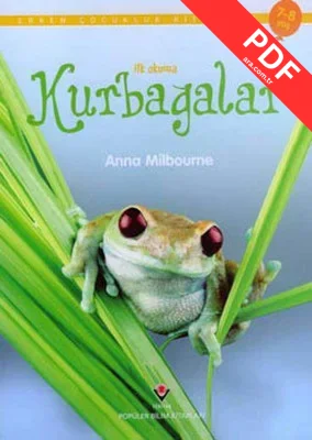 İlk Okuma - Kurbağalar PDF indir