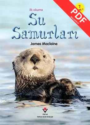 İlk Okuma - Su Samurları PDF indir