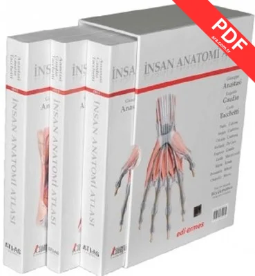 İnsan Anatomisi Atlası-3 Cilt Takım PDF indir