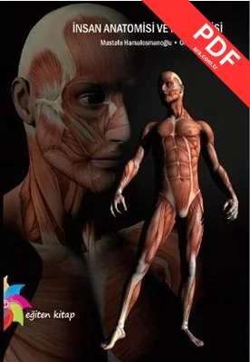 İnsan Anatomisi ve Fizyolojisi