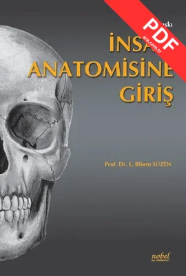 İnsan Anatomisine Giriş