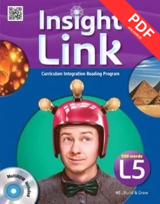 Insight Link L5-With Workbook+Multirom CD