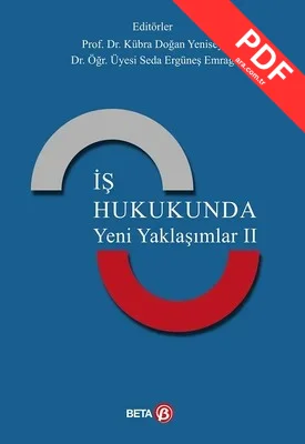 İş Hukukunda Yeni Yaklaşımlar 2