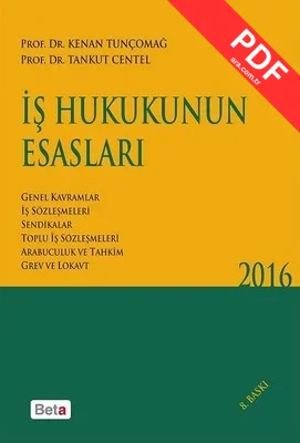 İş Hukukunun Esasları