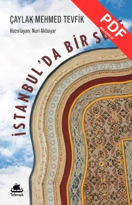 İstanbul'da Bir Sene PDF indir
